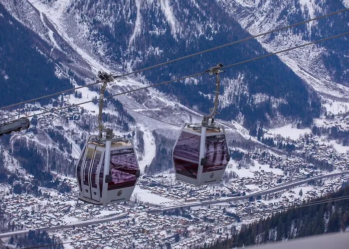 Sud - Jonquilles 209 - Happy