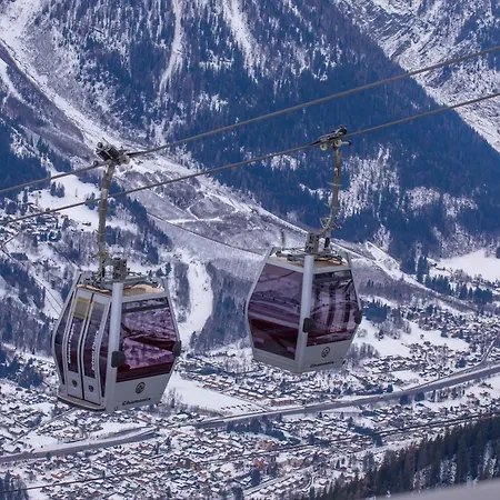 Sud - Jonquilles 209 - Happy